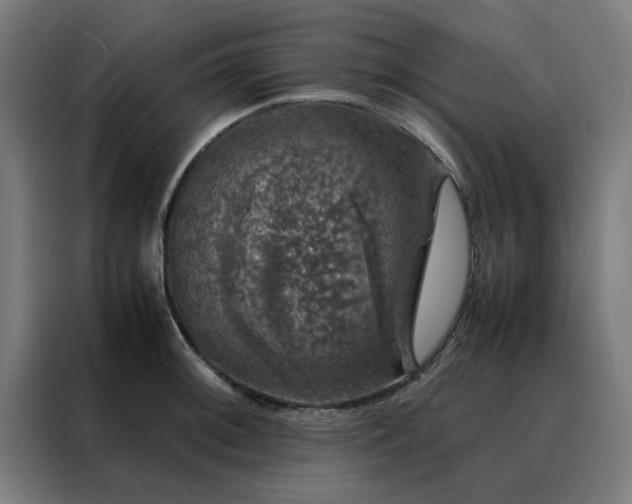 X0000088231092200705221819