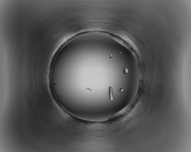 X0000088231093200705221819
