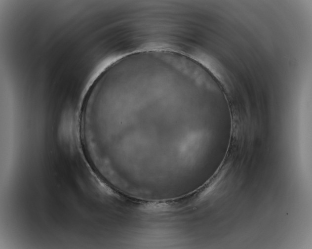 X0000088231094200705221819