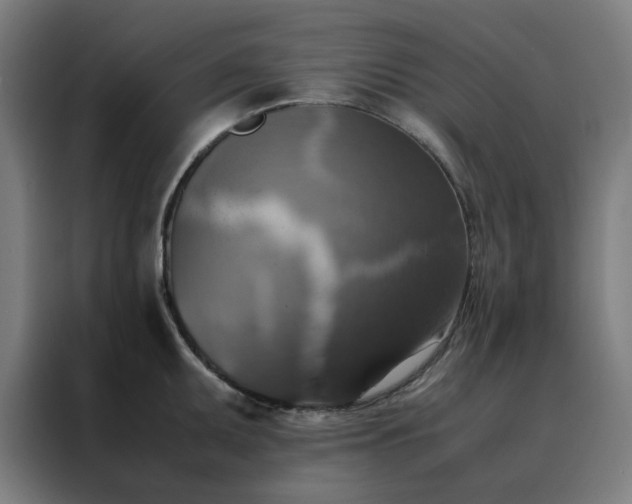 X0000088231095200705221819