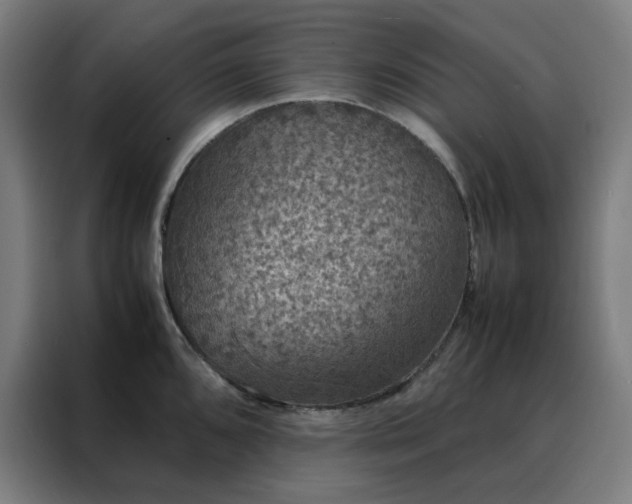 X0000088231096200705221819