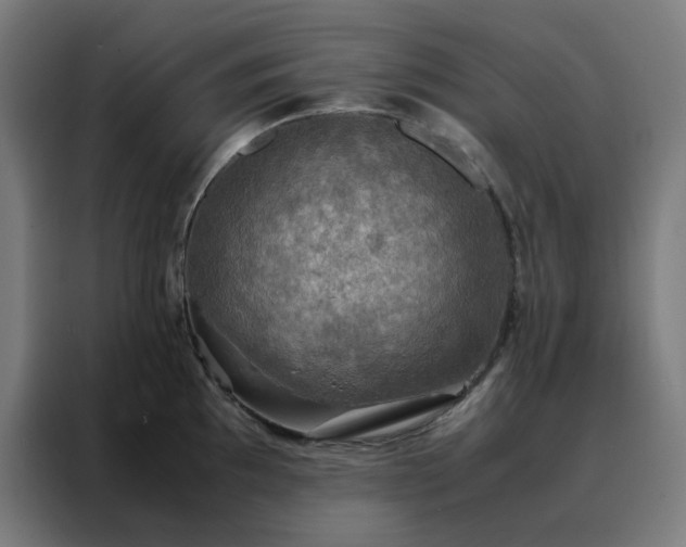 X0000088231097200705221819