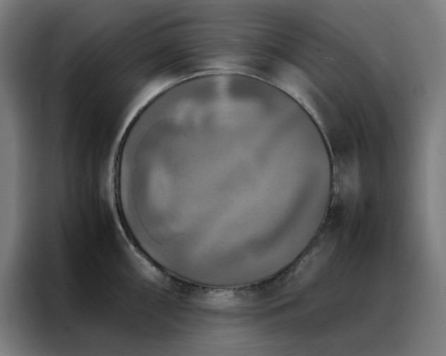 X0000088231098200705221819