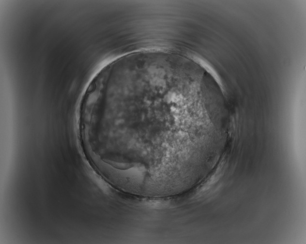X0000088231099200705221819