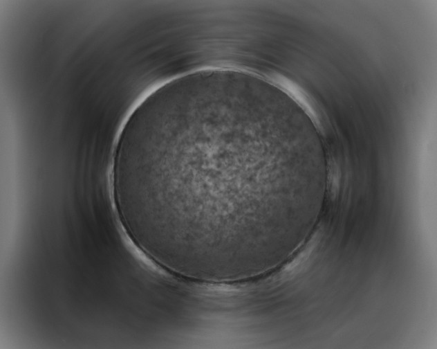 X0000088231100200705221819
