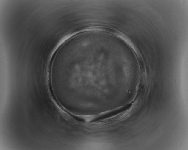 X0000088231101200705221819