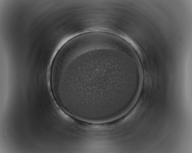X0000088231102200705221819