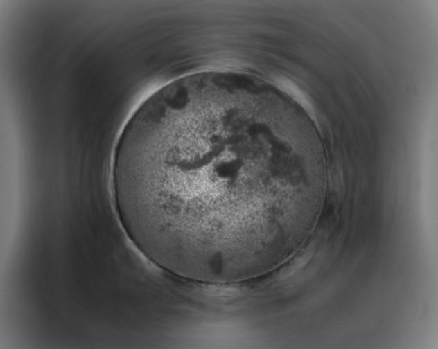 X0000088231103200705221819