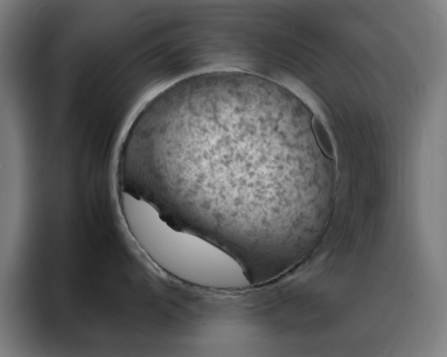 X0000088231104200705221819