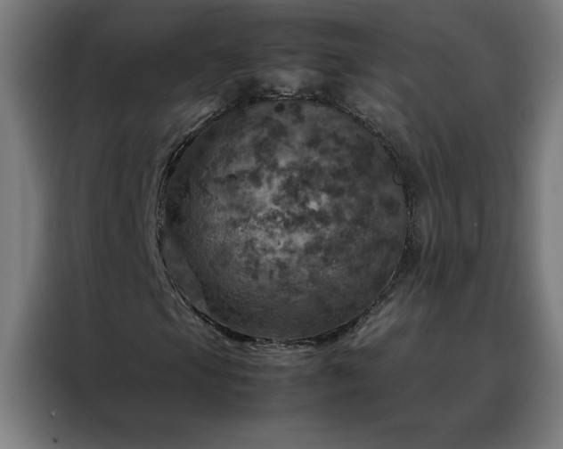 X0000088231105200705221818