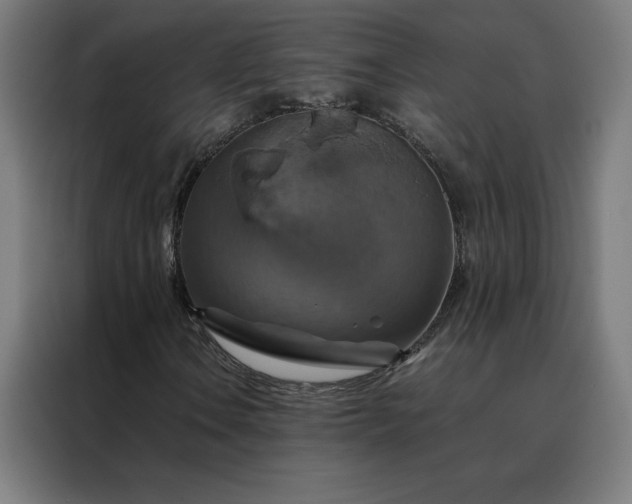 X0000088231106200705221818