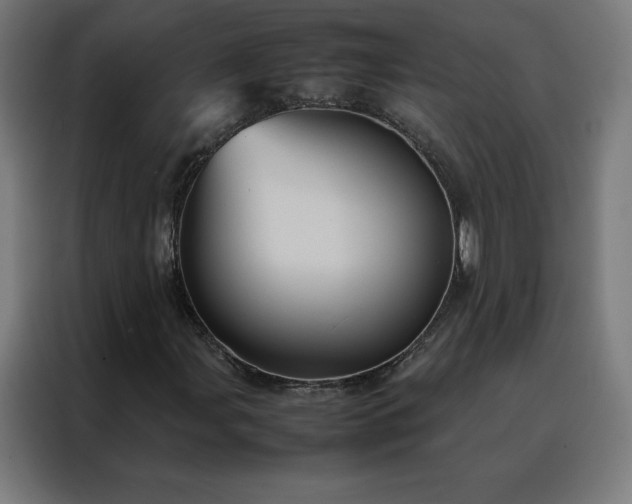 X0000088231107200705221818