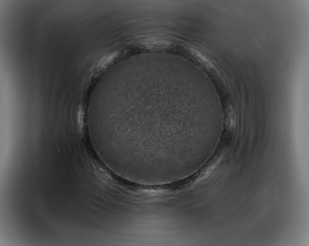X0000088231108200705221818