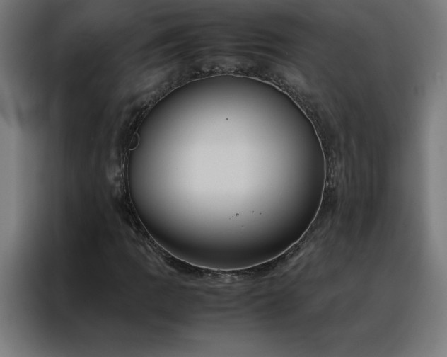 X0000088231109200705221818
