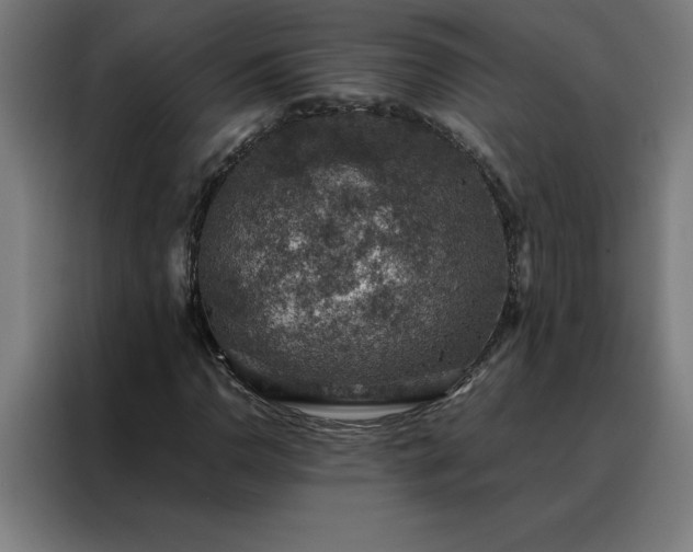 X0000088231110200705221818