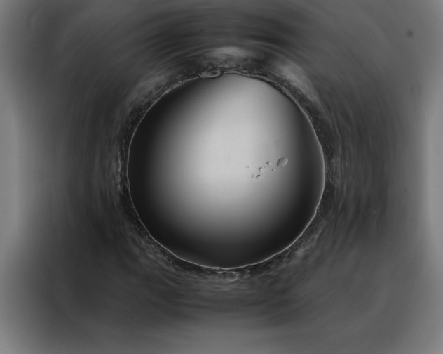 X0000088231111200705221818