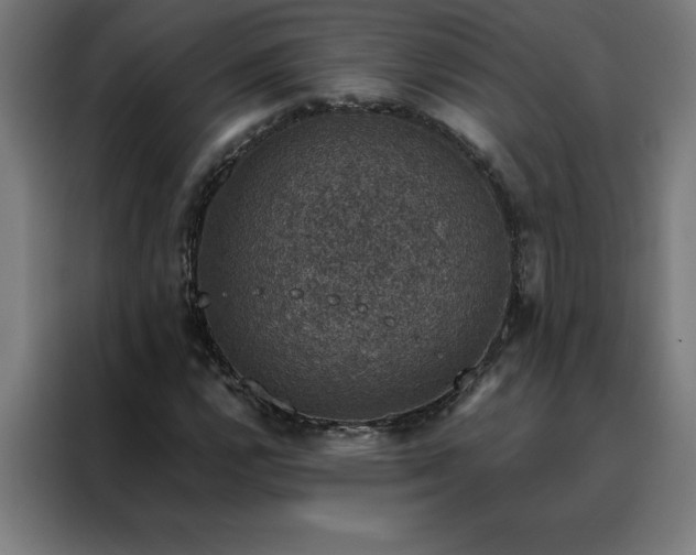 X0000088231112200705221818