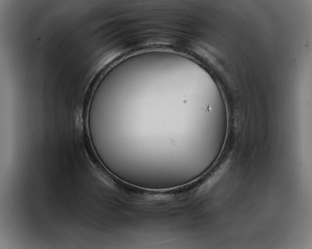 X0000088231113200705221818