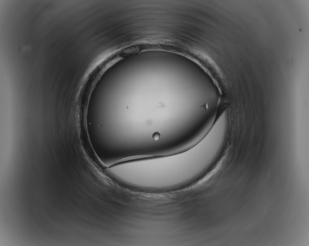 X0000088231114200705221818