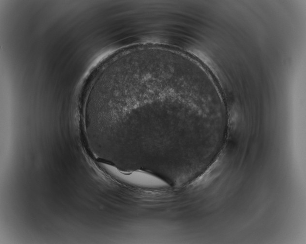 X0000088231115200705221818