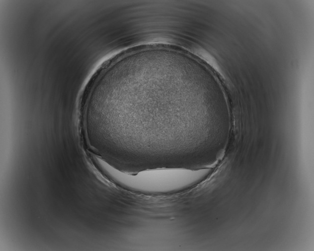 X0000088231116200705221819