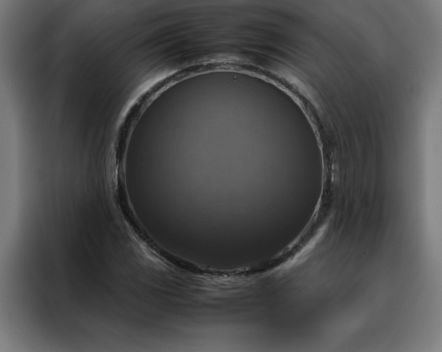 X0000088231117200705221819
