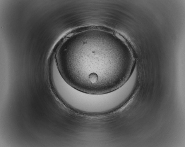 X0000088231118200705221819