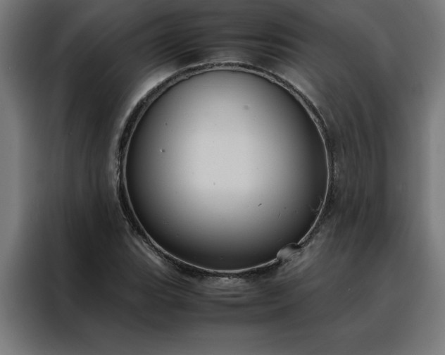 X0000088231119200705221819