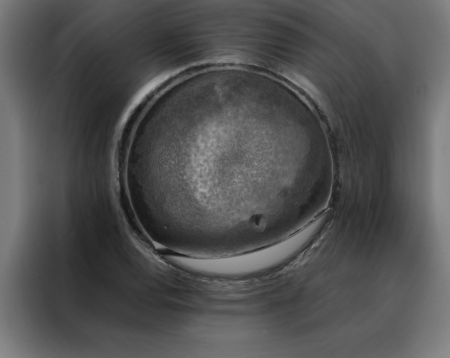 X0000088231120200705221819