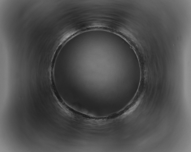 X0000088231121200705221819