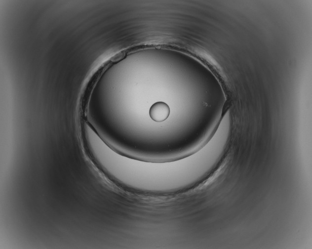 X0000088231122200705221819