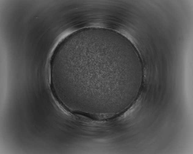 X0000088231123200705221819