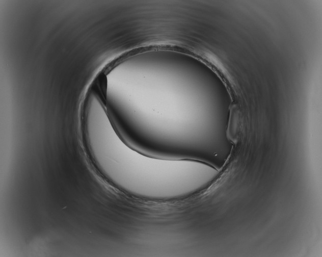 X0000088231124200705221819