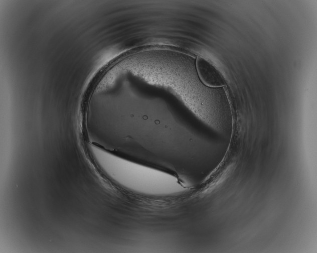X0000088231125200705221819