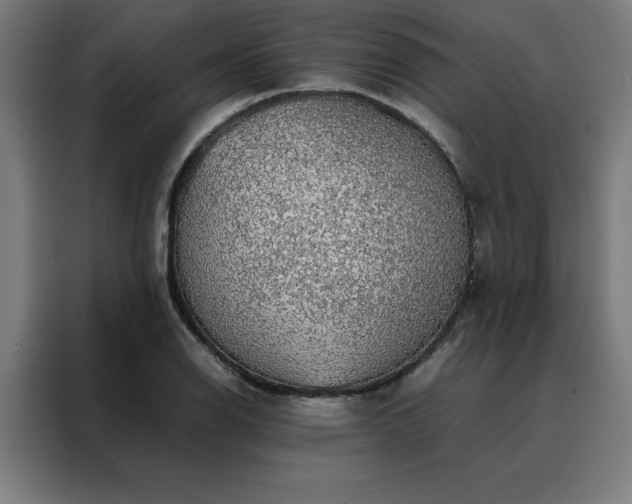 X0000088231126200705221819