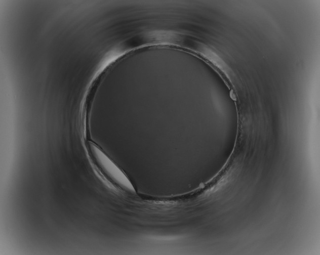 X0000088231127200705221819