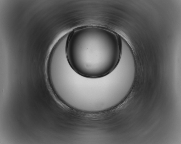 X0000088231128200705221819
