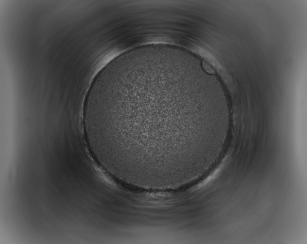 X0000088231129200705221819