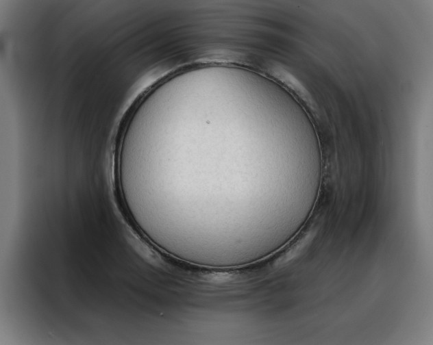 X0000088231130200705221819