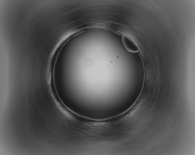 X0000088231131200705221819