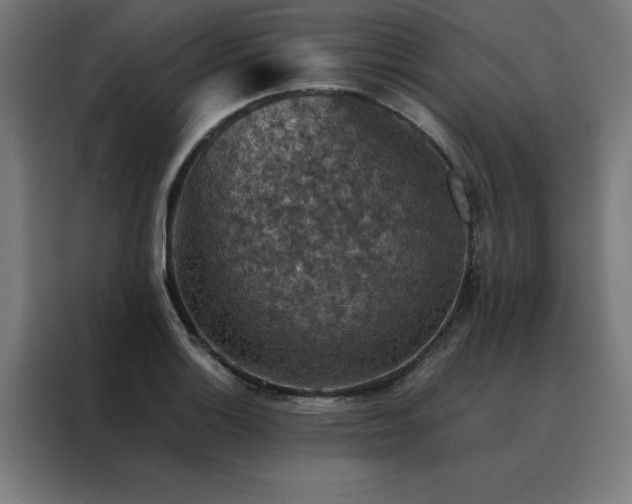 X0000088231132200705221819