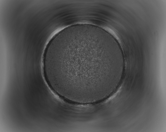 X0000088231133200705221819