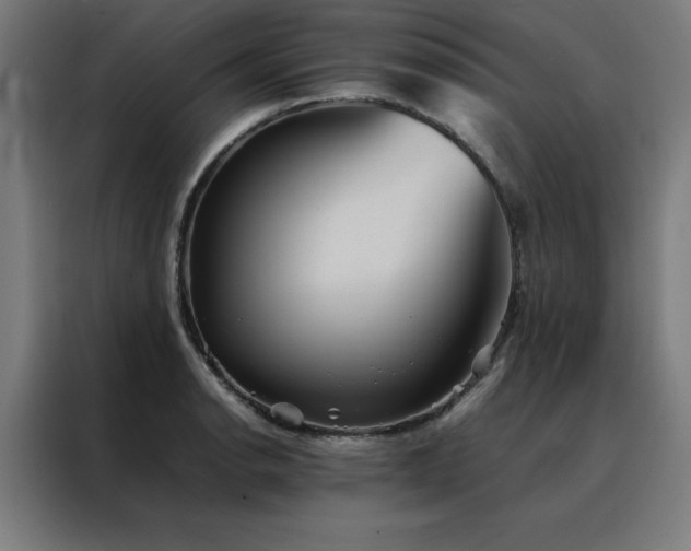 X0000088231134200705221819