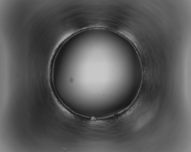 X0000088231135200705221819