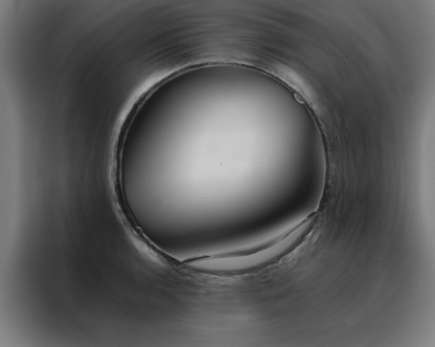X0000088231136200705221819