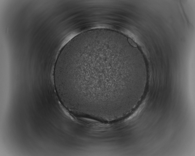 X0000088231137200705221819