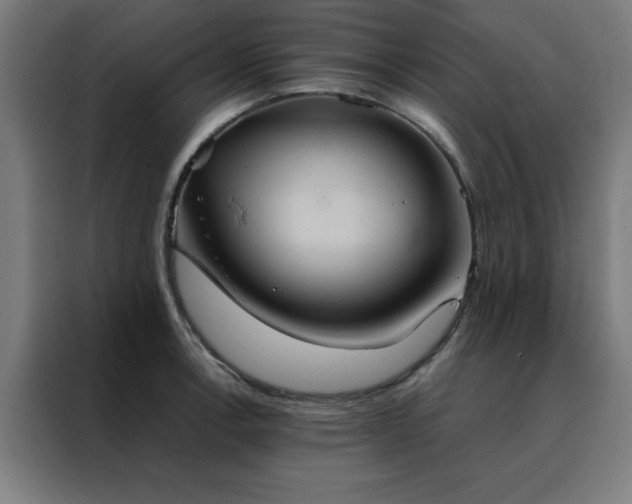 X0000088231138200705221819