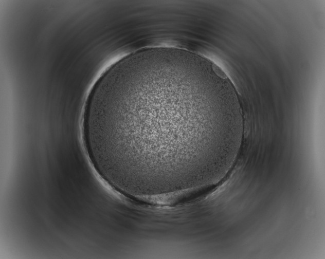 X0000088231139200705221819