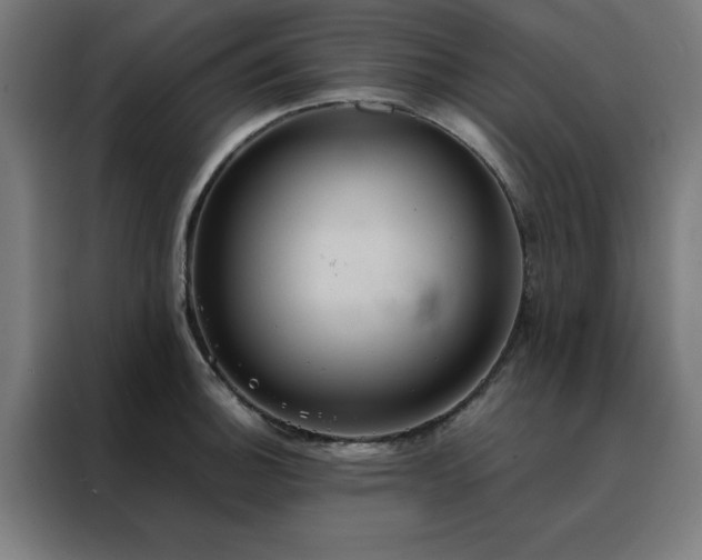 X0000088231140200705221819