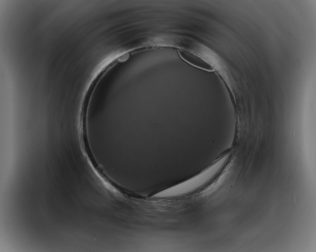 X0000088231141200705221819